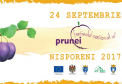 Duminica sunteti asteptati la Festivalul National al Prunei, care are loc la Nisporeni. Surprizele pregatite de organizatori