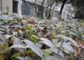 In urmatoarele zile, ne asteapta ingheturi la suprafata solului in toata tara. Avertismentul facut de meteorologi - VIDEO