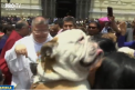 O ceremonie religioasa neobisnuita a avut loc in Peru. Zeci de oameni si-au sfintit animalele de companie: le apara de boli - VIDEO