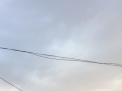 Maxime de pana la 19 grade. Cum va fi vremea in urmatoarele zile. Prognoza meteo - FOTO
