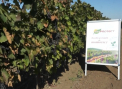 Bioprotect continua sa ajute agricultorii: clientii sunt deserviti prompt, iar consultanta competenta si profesionista este asigurata de cei mai buni agronomi - VIDEO