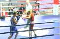 Nu se mai satura de titluri. Renumitul boxer moldovean, Veaceslav Gojan, a devenit pentru a a 15-a oara campion national - VIDEO