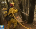Incendiile de vegetatie fac prapad in California, iar pompierii au cerut intariri din aer. Noaptea trecuta, inca 7 persoane s-au stins, iar alte 500 au fost date disparute - VIDEO