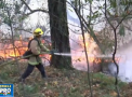 Sute de persoane sunt date disparute, iar alte 40 au murit in incendiile care afecteaza de o saptamana California. Zece mii de pompieri lupta cu focul - VIDEO