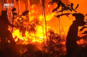 Incendiile fac prapad in Portugalia si Spania. Focarele au izbucnit in diferite zone, scolile au fost inchise, iar zeci de persoane si-au pierdut viata - VIDEO
