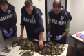 Descoperire macabra, pe aeroport, in bagajele unor italieni care se intorceau din Romania - VIDEO