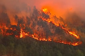 Portugalia: trei zile de doliu national in memoria celor 36 de persoane care au murit in urma incendiilor de vegetatie. Autoritatile au cerut ajutor international - VIDEO
