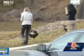 Terorizati de curcani. Pasarile au invadat un oras din SUA. Strazile au fost blocate,  iar 150 de persoane au avut de suferit, dupa ce curcanii salbatici s-au napustit asupra lor - VIDEO