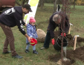 Mai multi parinti din capitala si-au inceput weekendul cu o fapta buna: au cumparat copaci si i-au plantat la Gradina Botanica. Fiecare si-a insemnat arborele sadit - VIDEO