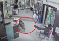 Doi mistreti au pus pe jar politia si localnicii unui orasel din Germania: patru persoane au fost ranite - VIDEO