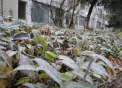 Vremea se raceste. Ce temperaturi vom avea in urmatoarele zile