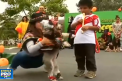 De Halloween, zece caini din Peru au fost deghizati in vrajitoare ori pirati. Acestia au participat la o competitie, la care a fost desemnat cel mai deosebit costum - VIDEO