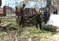 Mai multe drumuri din centrul capitalei, blocate: se curata arborii. Ce spun responsabilii de la Spatii Verzi - VIDEO