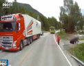 Tragedie evitata la limita pe o sosea din Norvegia. Un sofer de camion a fost cat pe ce sa loveasca un copil, care a traversat strada neregulamentar - VIDEO
