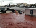 Peisaj apocaliptic in apropiere de Atena, dupa ploile torentiale din ultimele zile: 15 oameni si-au pierdut viata. Apa a maturat totul in cale - VIDEO