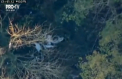 Accident in aer, in apropiere de Londra. Un avion de mici dimensiuni s-a ciocnit cu un elicopter in aer, iar ambele aparate s-au prabusit peste niste copaci - VIDEO