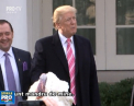 Inainte de Ziua Recunostintei, Donald Trump a gratiat doi curcani, asa cum cere traditia: "Sunt mandru de mine" - VIDEO