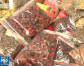 Ceaiurile din plante - tratamentul minune pentru diferite maladii si perfecte pentru zilele friguroase. Cum sa le alegeti corect si ce spun specialistii - VIDEO