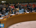 Regimul nord-coreean va fi distrus, daca va provoca un razboi cu SUA, avertizeaza ambasadorul american al ONU. Trump l-a numit pe liderul Coreei de Nord "un catelus bolnav" - VIDEO