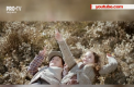 De ziua nationala a romanilor, Ion Paladi a lansat o piesa numita Romania mea frumoasa. Vezi videoclipul filmat in tara vecina - VIDEO