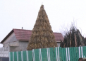 Dupa Chisinau, si Sangerei are pom de Craciun. Al doilea an consecutiv, un gospodar din Heciul Vechi a adunat toti cioclejii de pe camp, i-a aranjat in forma de brad si l-a impodobit cu globuri si ghirlande: a devenit mandria satului - VIDEO