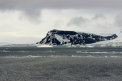Descoperire incredibila in Antarctica! Pentru prima data au fost observate specii care se hranesc doar cu aer