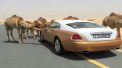 10 lucruri extrem de scumpe pe care si le permit milionarii din Dubai. Excentricitatile de care se bucura in fiecare zi - GALERIE FOTO