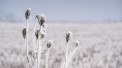Vreme rece in capitala. Pana vineri vom avea -1 grad Celsius. Cand va ninge