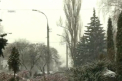 Temperaturi ridicate in ziua de Craciun. Cum va fi vremea in aceasta saptamana. Prognoza meteo - FOTO