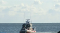 S-au inviorat pentru un an intreg. Mii de oameni din intreaga lume au marcat inceputul noului an cu o baie la temperaturi scazute - VIDEO