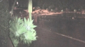 Cel putin 17 oameni au murit, iar 24 sunt dati disparuti in urma alunecarilor de teren din sudul Californiei - VIDEO