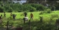 Scene de groaza, in Venezuela. O multime infometata ucide cu pietre o vaca - VIDEO