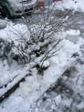 Ghetus pe drumuri si temperaturi de pana la 5 grade. Cum va fi vremea in urmatoarele zile. Prognoza meteo - FOTO