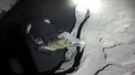 Politia rusa a descoperit un crocodil de 2 metri in subsolul unei case, in timpul unor perchezitii