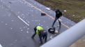 Ploaie cu bani pe o autostrada din SUA. Politistii au inchis drumul timp de o ora sa adune bancnotele - VIDEO