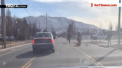 O intamplare ciudata i-a naucit pe locuitorii unui orasel din SUA. Sute de grauri morti au cazut din cer si au umplut strazile unui cartier - VIDEO