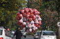 Pakistanul a interzis Valentine"™s Day, inclusiv pe canalele de radio si televiziune