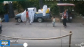 La un pas de tragedie. Un baietel de numai 2 ani era cat pe ce sa fie lovit de un palmier putred, care s-a prabusit la o distanta milimetrica de capul sau - VIDEO