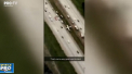 Un avion de mici dimensiuni a aterizat chiar in mijlocul unei autostrazi din statul american California dupa ce, motorul aparatului de zbor a cedat- VIDEO