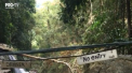 Un turist a murit in Thailanda, dupa ce a s-a urcat in virful unei cascade pentru a-si face o fotografie spectaculoasa si a cazut de acolo - VIDEO
