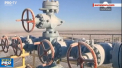 Scolile si universitatile vor fi inchise pentru cateva zile, iar zeci de intreprinderi, indemnate sa-si reduca activitatea. Masurile luate de Ucraina dupa ce Gazprom a anuntat ca nu va mai livra gaz in tara vecina - VIDEO