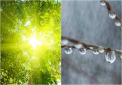 Vremea ne buimaceste. Ne asteapta din nou frig si ninsori. Cand se va incalzi. Ce spun meteorologii