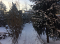 Drumuri inzapezite si minime de pana la -10 grade Celsius. Cum va fi vremea in urmatoarele zile. Prognoza meteo - FOTO