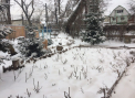 Ninsori, drumuri inzapezite si minime de pana la -10 grade Celsius. Cum va fi vremea in urmatoarele zile. Prognoza meteo - FOTO