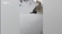 Cinci oameni au trait o adevarata minune: au ramas in viata, desi elicopterul in care se aflau s-a prabusit in muntii din Georgia si a fost mistuit de flacari. Cum s-a intamplat totul - VIDEO