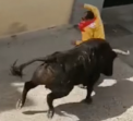 Un barbat a fost ucis de un taur, in timpul unui festival, in Spania. Imagini socante - FOTO si VIDEO