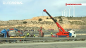 Accident cu elefanti pe o sosea din Spania. Un mamifer a murit, iar altii doi au fost raniti, dupa ce camionul care-i transporta s-a rasturnat - VIDEO