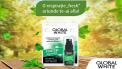 Global White - accesoriul care iti da siguranta!