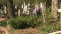 Marea curatenie s-a mutat de pe strazile capitalei... in cimitire. Mai sunt trei zile pana la Pastele Blajinilor, asa ca oamenii fac ordine in jurul mormintelor: "Vrem sa vopsim ca sa fie frumos" - VIDEO