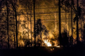 Un incendiu urias risca sa distruga Sydney, cel mai mare oras din Australia - FOTO